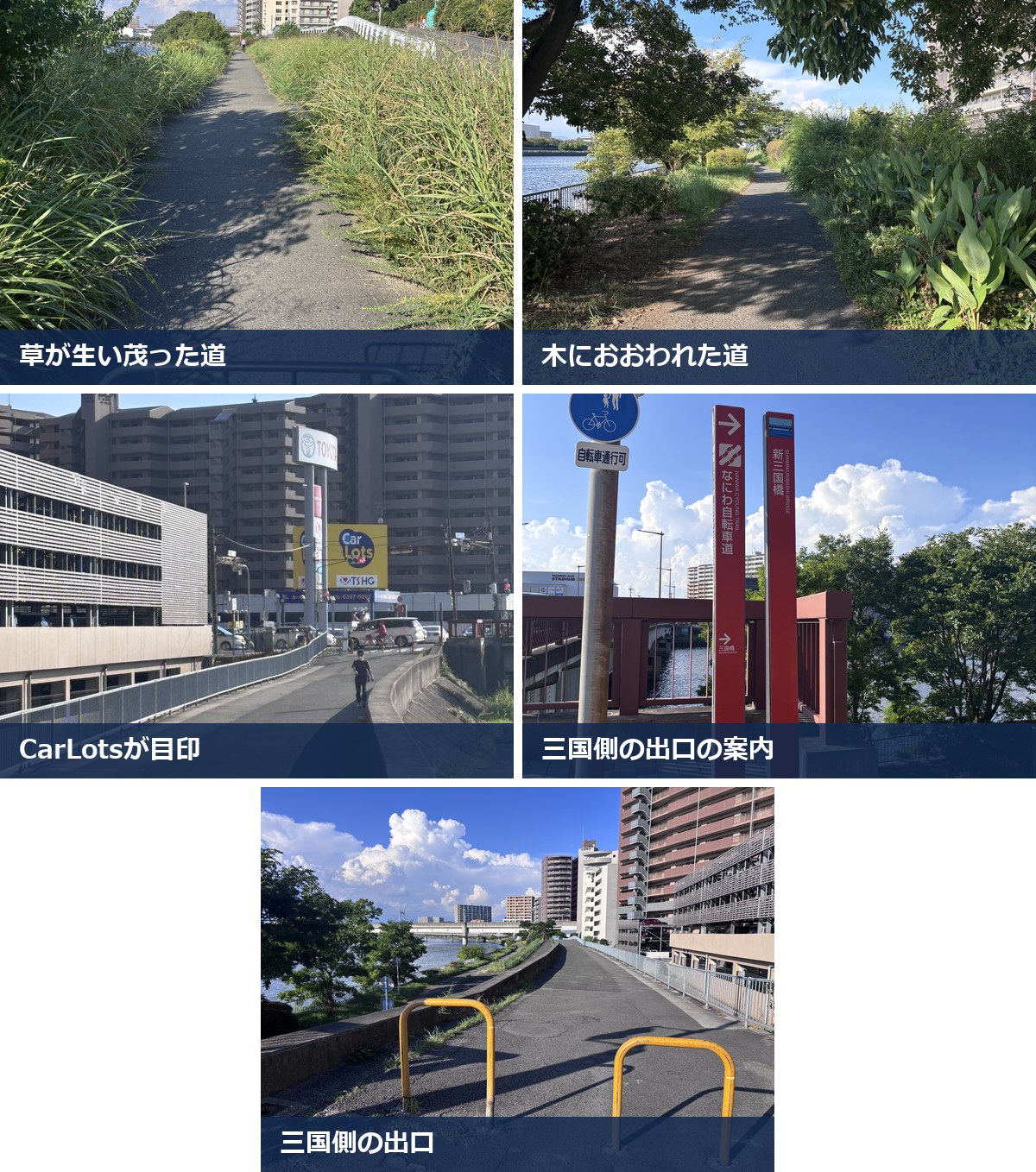 神崎川河川敷で気をつけたいところ。草が生い茂った道、木におおわれた道、目印のCarLots、三国側の出口の案内、三国側の出口
