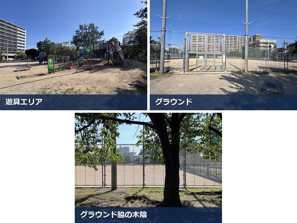 新高中央公園の様子。遊具エリア、グラウンド、グラウンド脇の木陰
